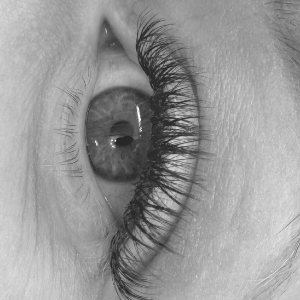 Signature Full Set at The Lash Specialist in Warwick, NY