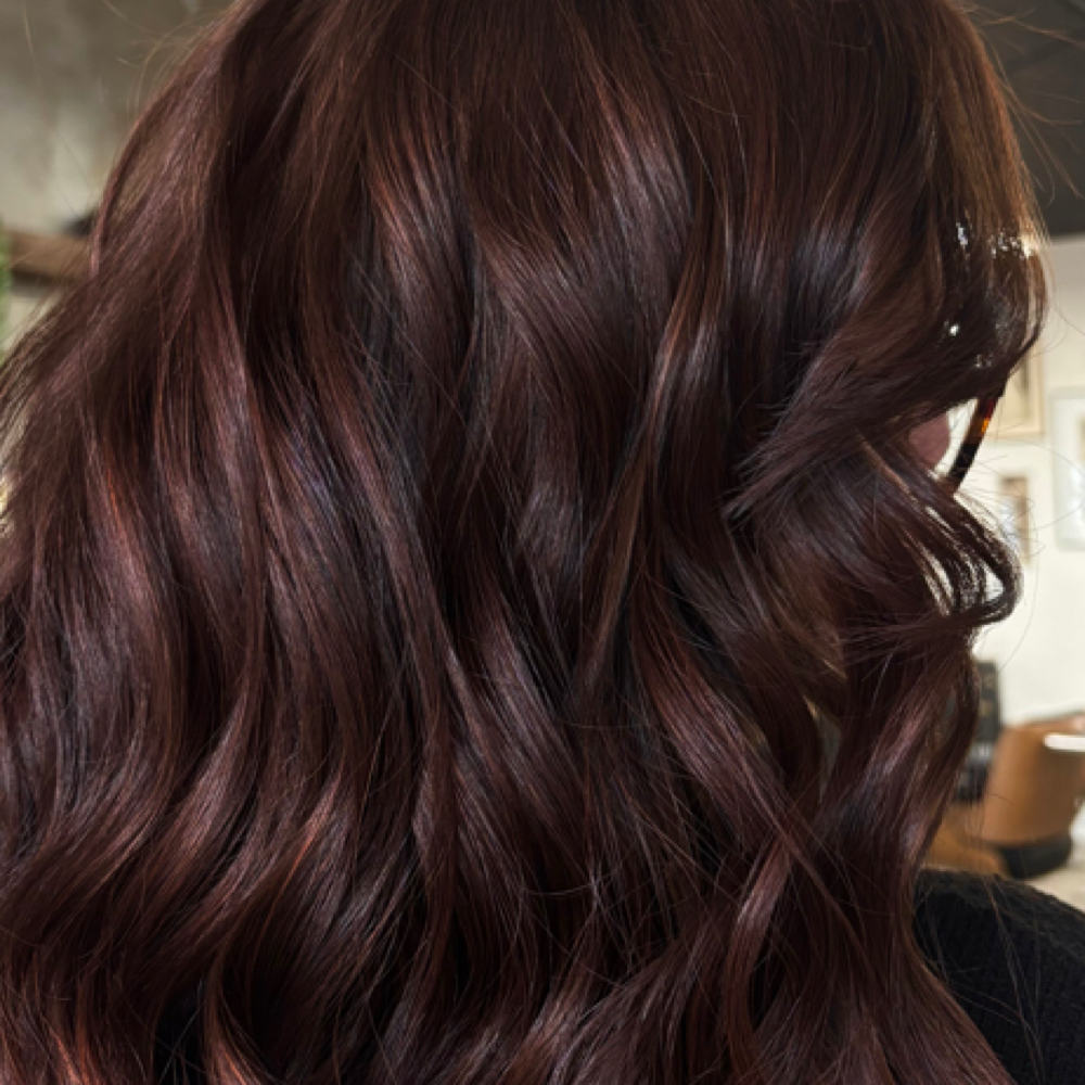 Gloss + Blowout at Hair By Mariah Monte in Latham, NY