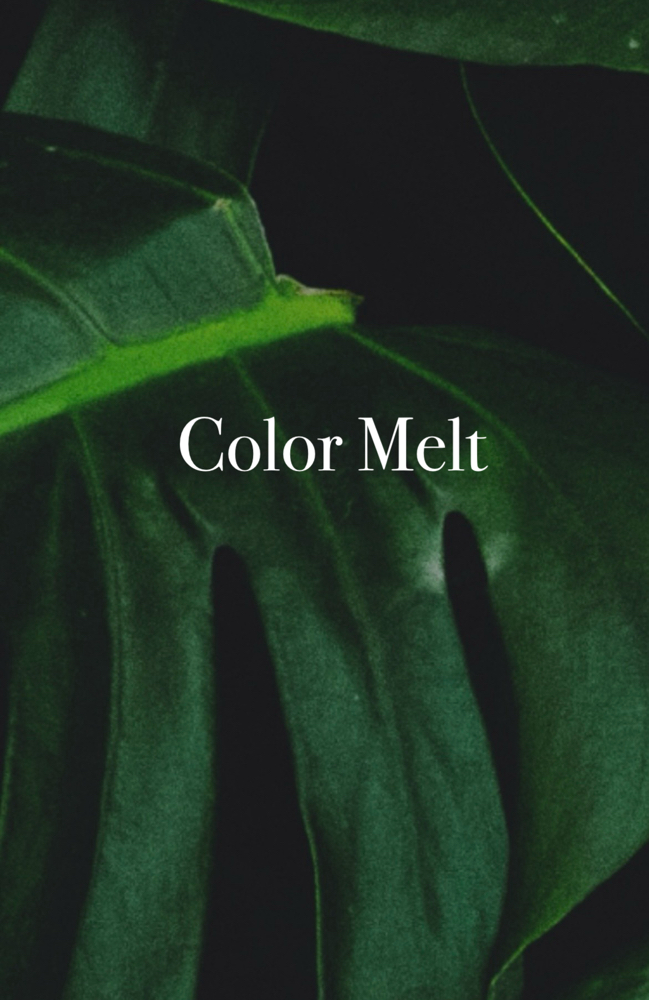 Color Melt at Anestie Beauty Lounge in Franklin Square, NY