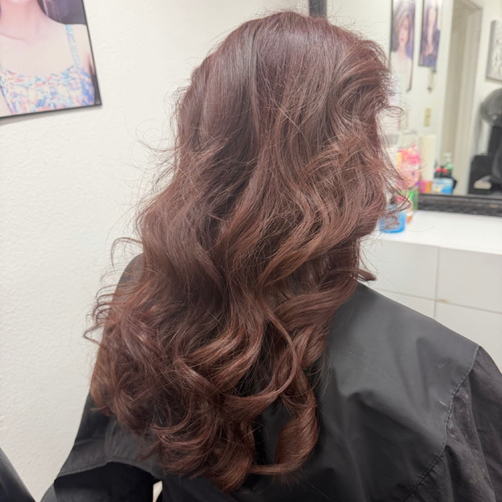 All Over Color (Long Hair) at Tammy Corral in Fresno, CA