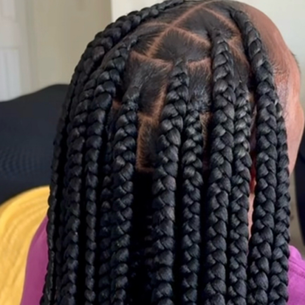 Kids Box braids With Added Hair at Moèt’s Touch in Scotia, NY
