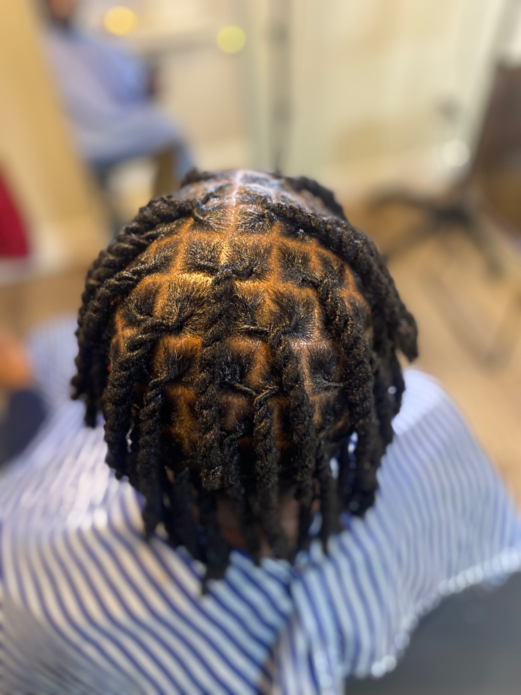 2 Strand/RopeTwist/Braids >100locs