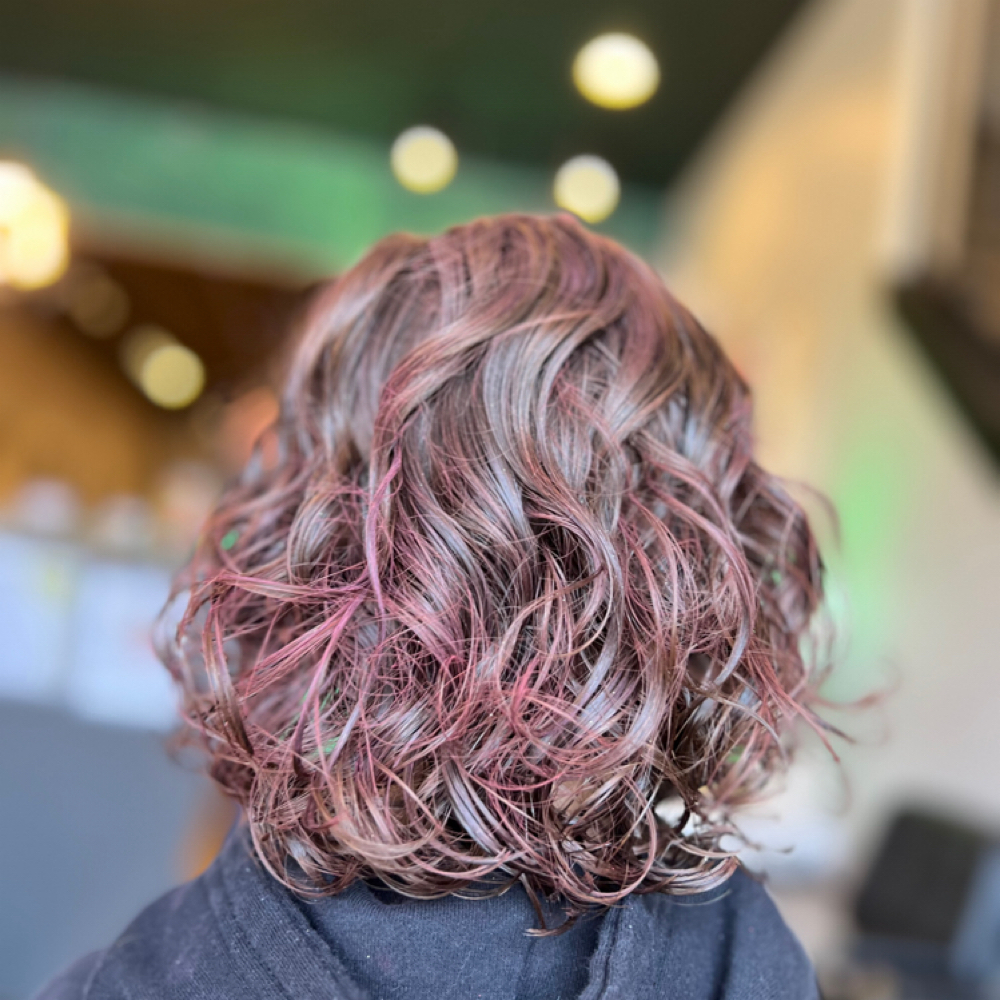 Kid Cut at Mercedes Turybury in Wellsville, NY