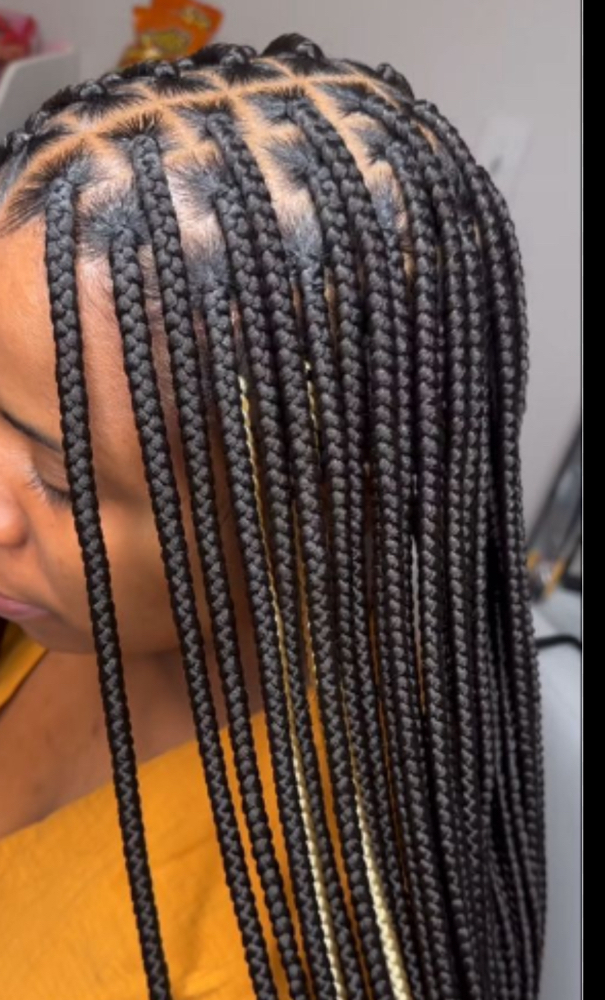 Knotless Braids Medium (no Hair)