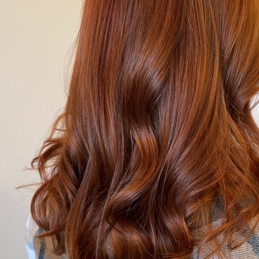 All Over Color at Wild Magnolias hair studio in Summerville, SC