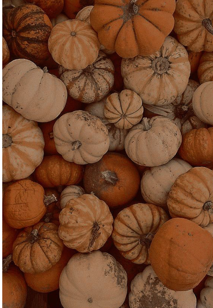 Pumpkin and Spice Facial