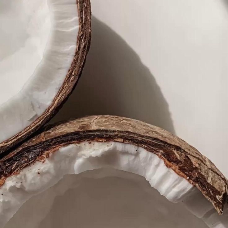 ADD-ON Coconut Scent Drops 🥥 at The Collective in Salmon, ID