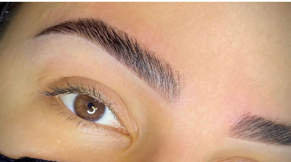 Brow Tint Only