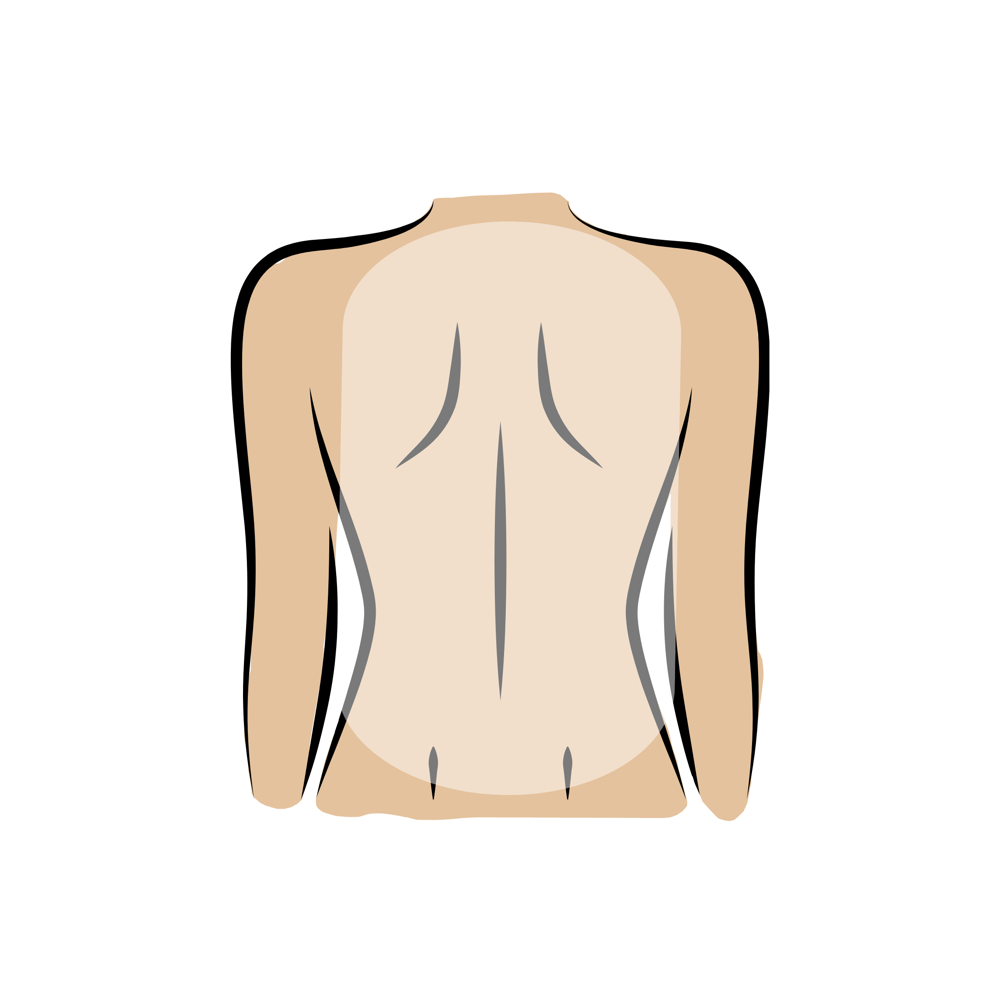 Back