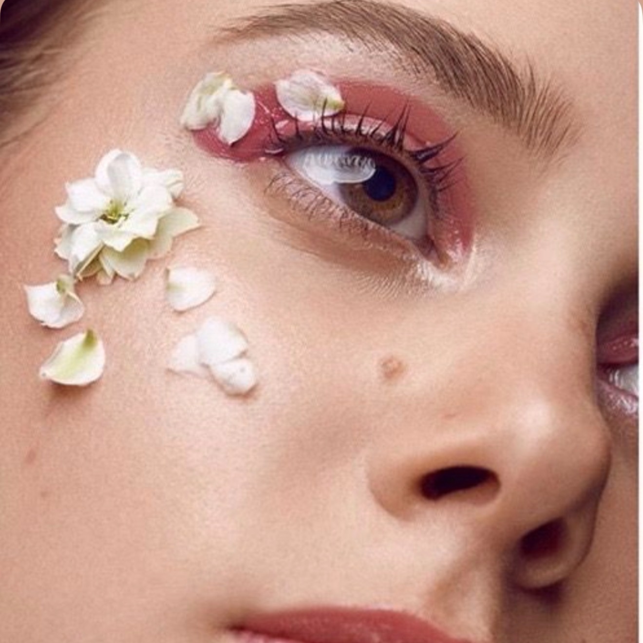 Petal Perfect Brows 🌻 Wax and Tint at Zinnia Waxing Studio in Wichita, KS