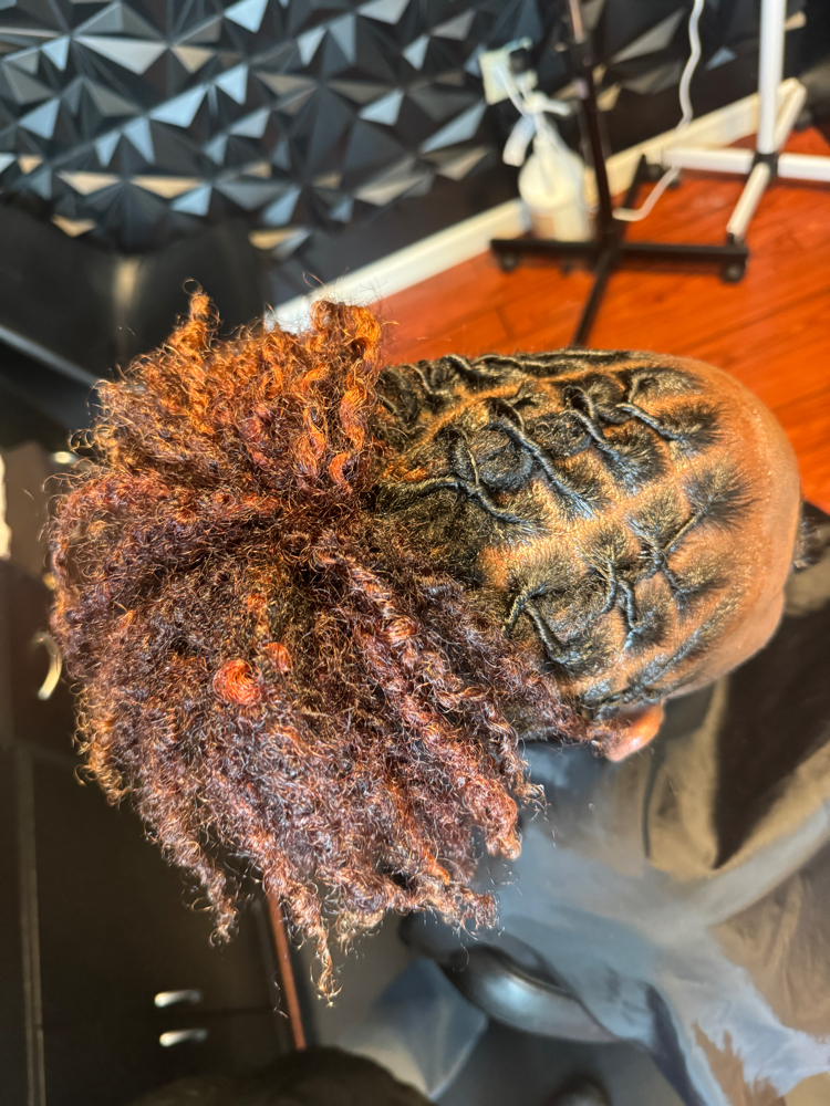 Locs Retwist with Basic Style