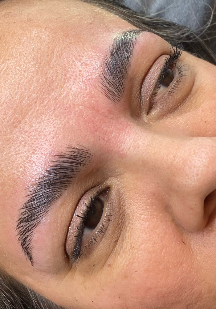 Brow Lamination & shaping (no tint)