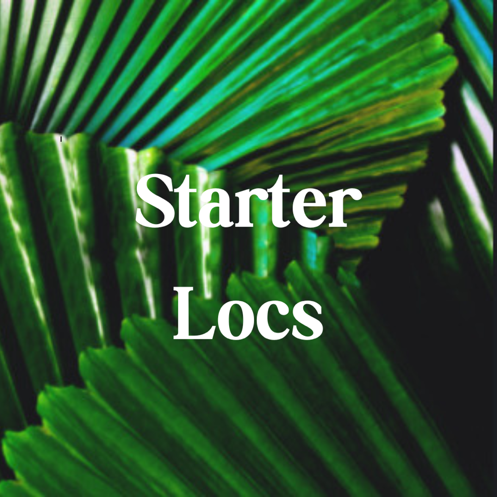 Starter Locs