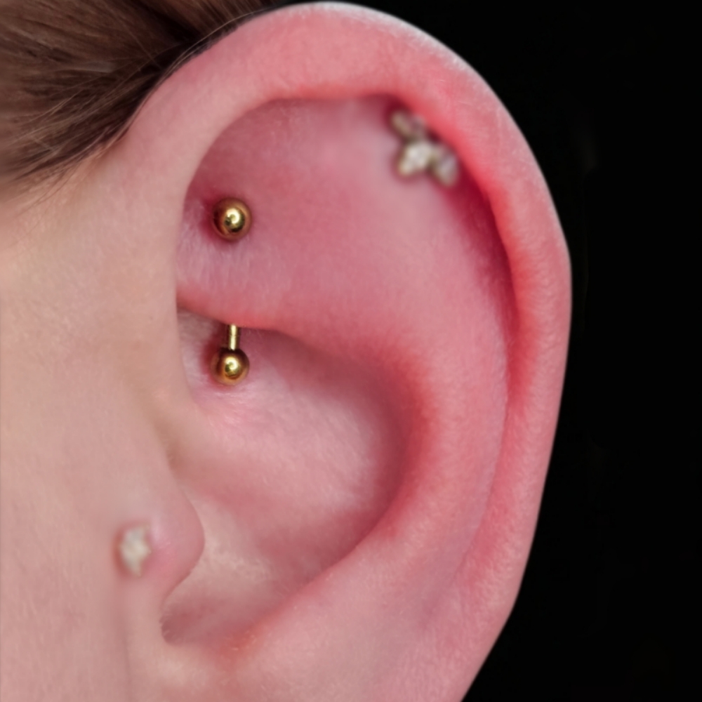 Rook Piercing at Chrissy Von in Pelham, NH