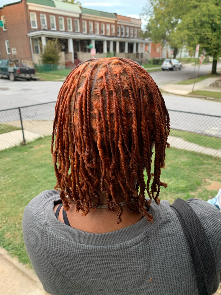 Starter Locs !