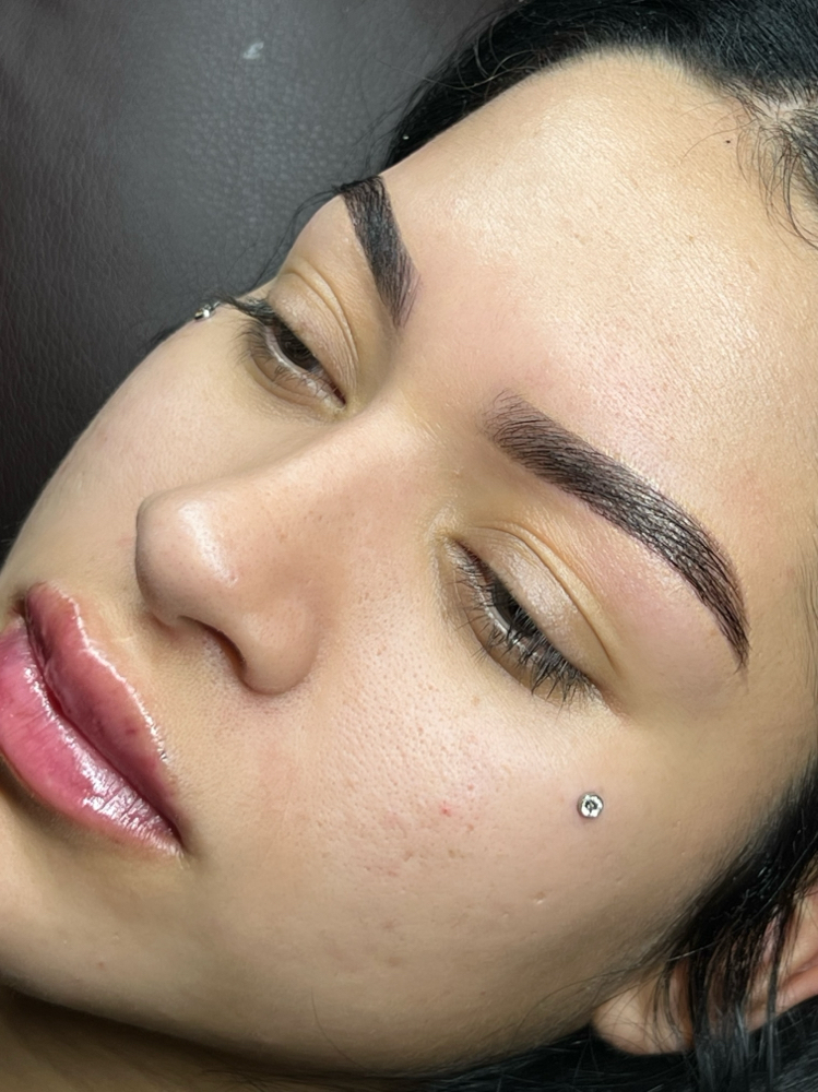 Lamination Precision Brows + Tint