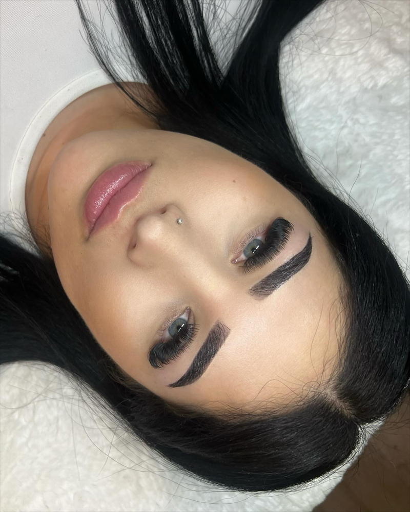 Lamination Precision Brows + Tint