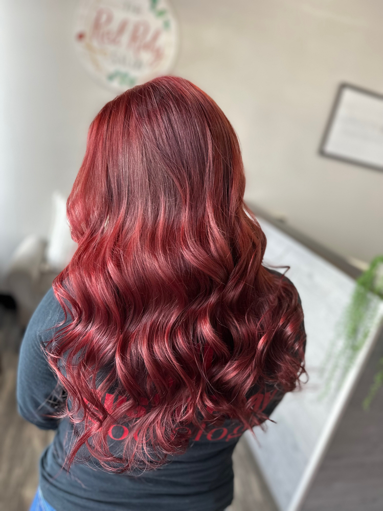 Solid All Over Color & Haircut