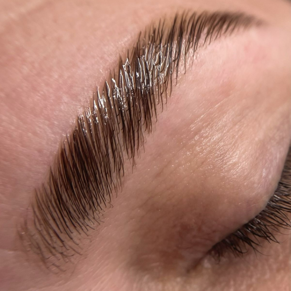 Brow Lamination Maintenance at Lush Aesthetics in Mechanicsville, VA