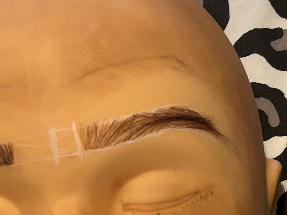 Brow Extenstions (Natural Fill)