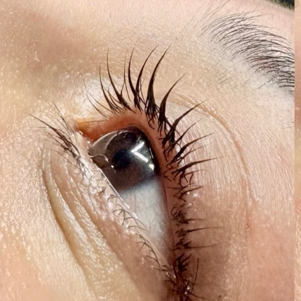 Lash Tint at Beyond the Skin in North Chelmsford, MA