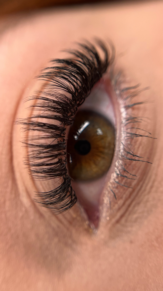 Lash Extensions (Wet Effect)