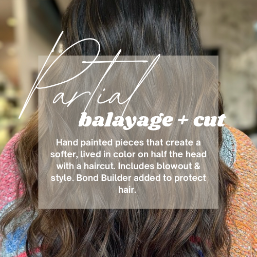Partial Balayage + Cut