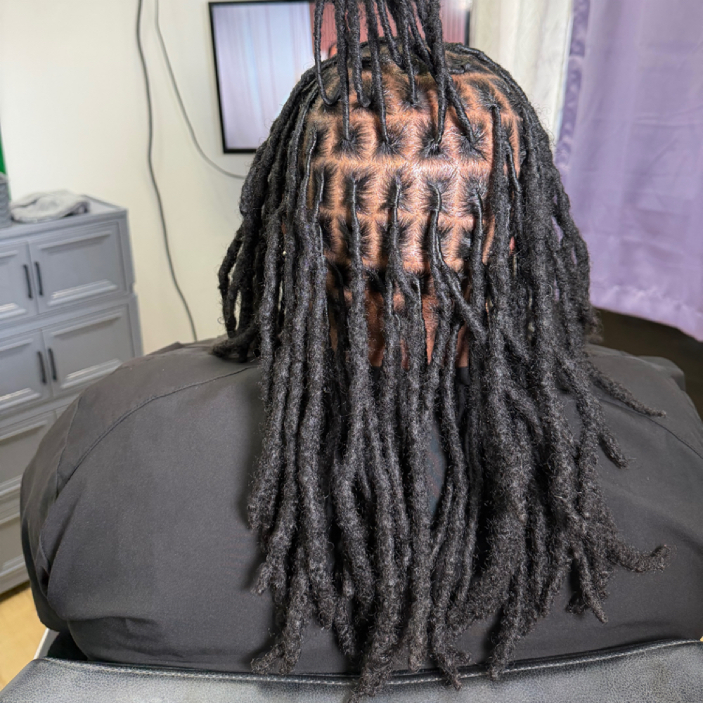 Mature Loc Retwist at Intrinsting Styles in Addison, TX