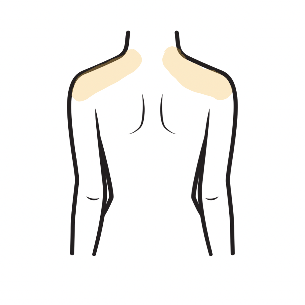 Shoulders