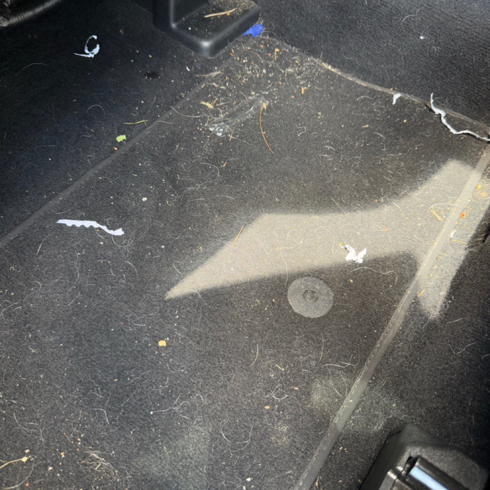 Pet hair removal at Rinse & Shine Mobile Detailing