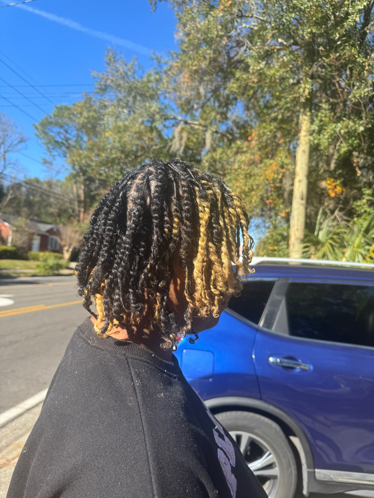 Starter Locs at Z.TheHairScientist in Jacksonville, FL