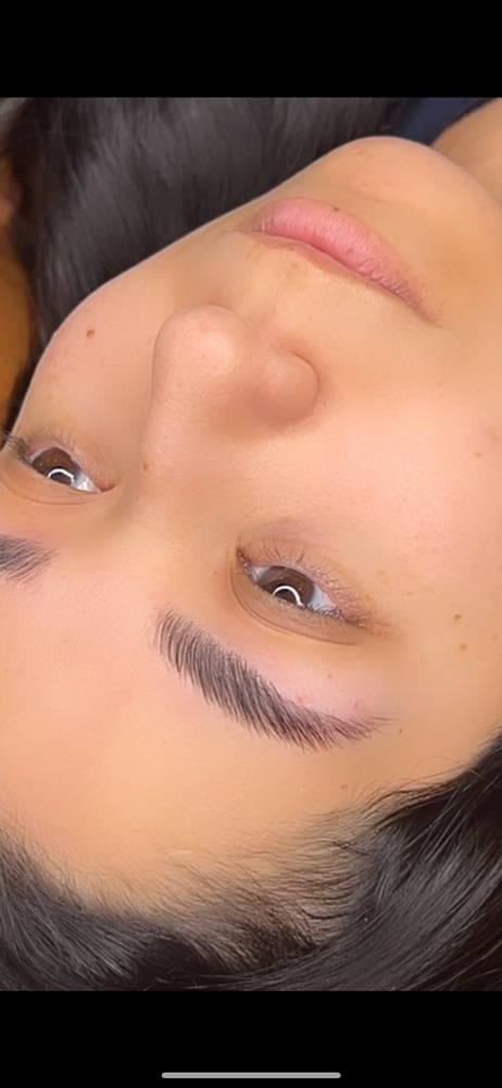 Brow Lamination (no Tint)