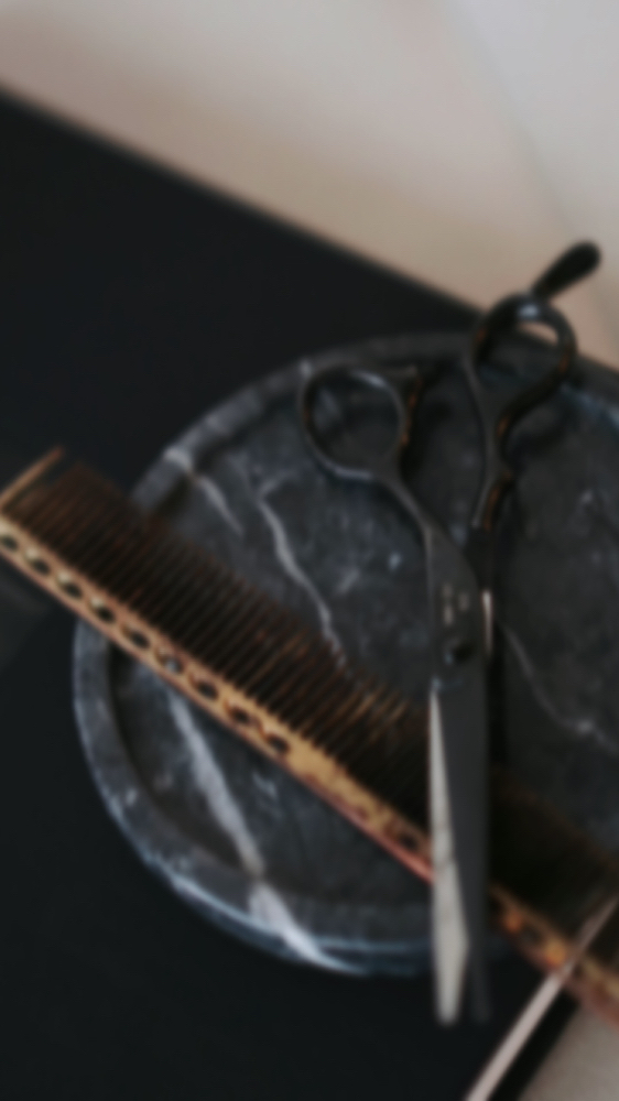 Haircut, Treatment + Style