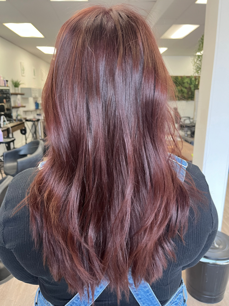 All Over Color & Haircut