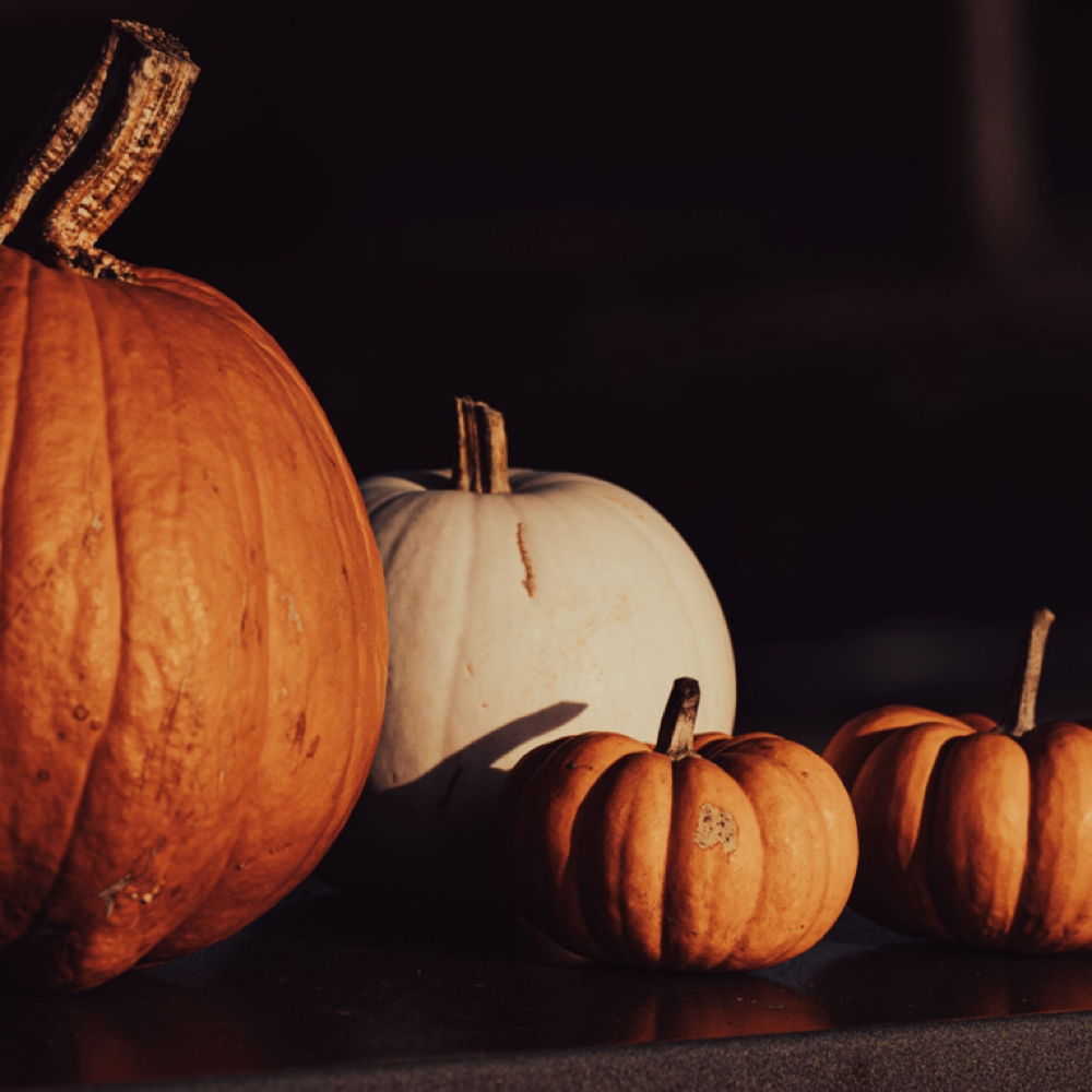 15% Lactic Pumpkin Peel Add On at Downtime Dahlia Esthetics in Kinston, NC