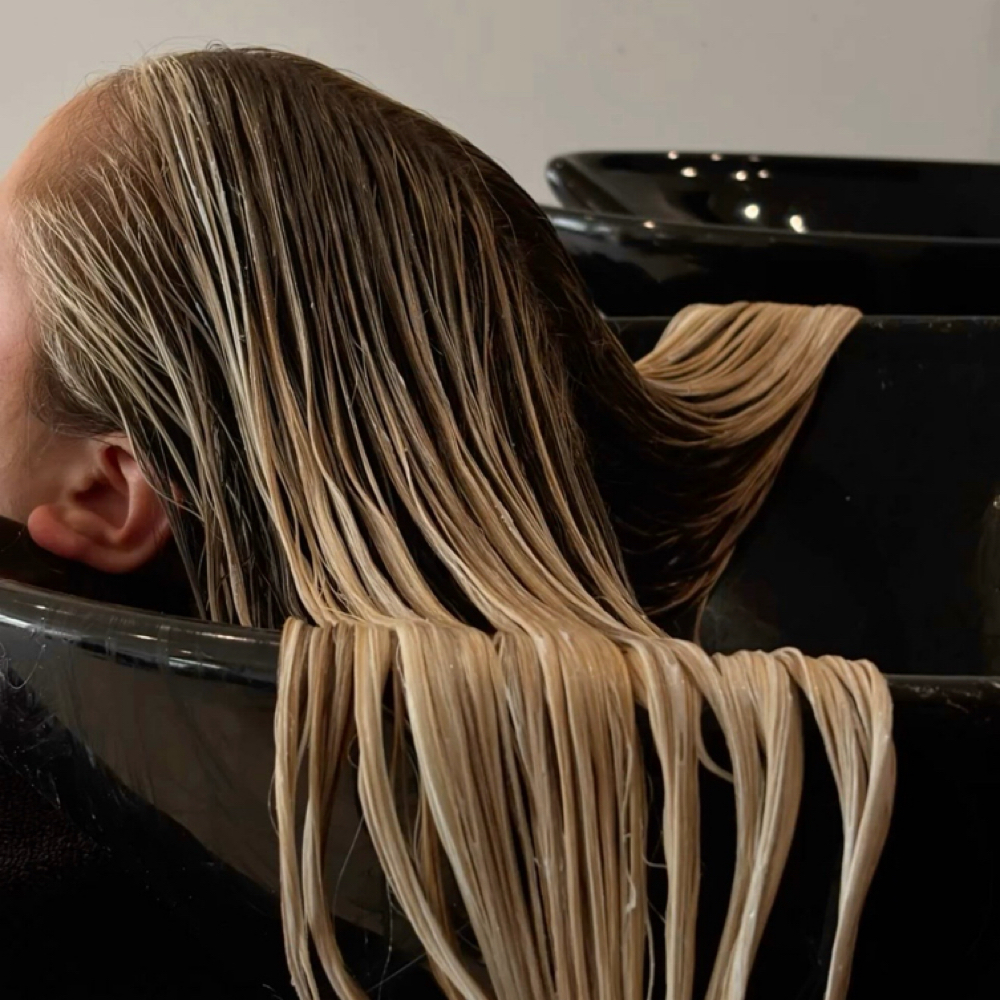 Toner/Gloss, Haircut + Blowdry at Mane Haven @ Elite Salons and Suites in West Chester, PA