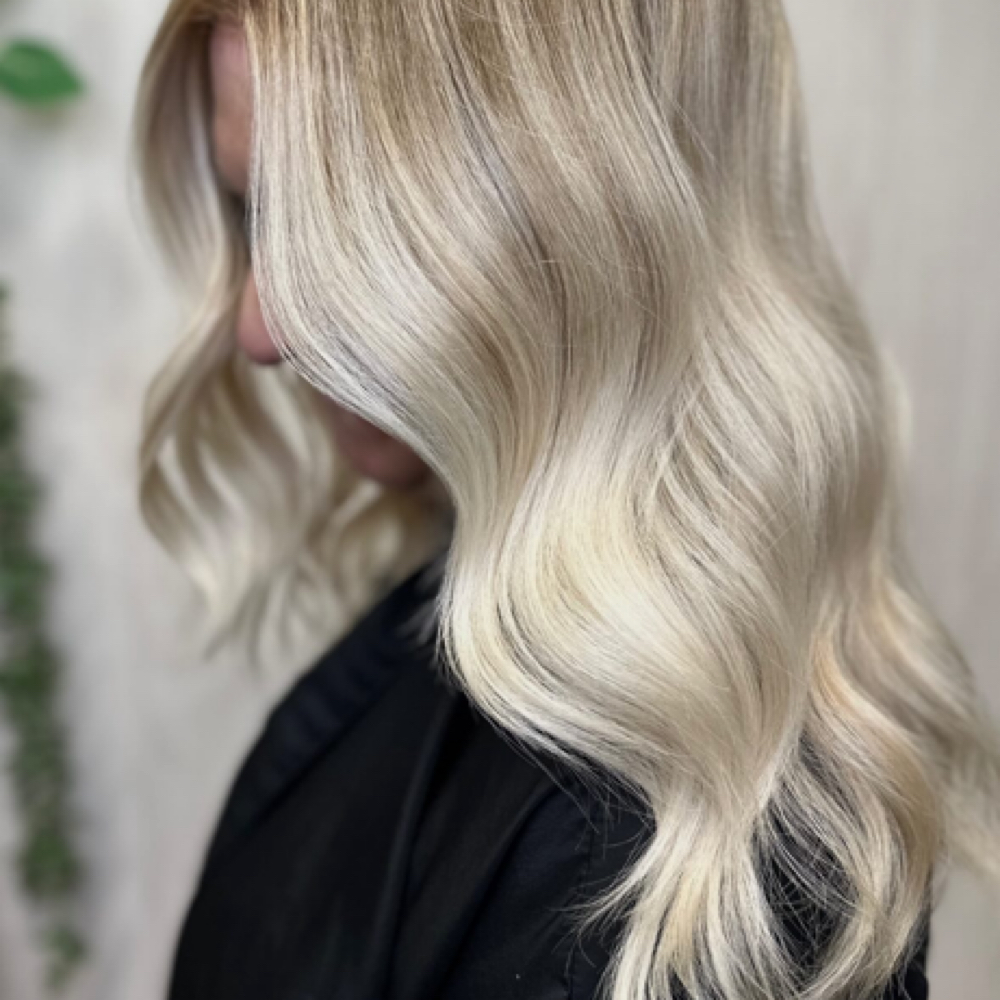 Gloss Toner + Style at EVERROOT Hair Studio in Austin, TX
