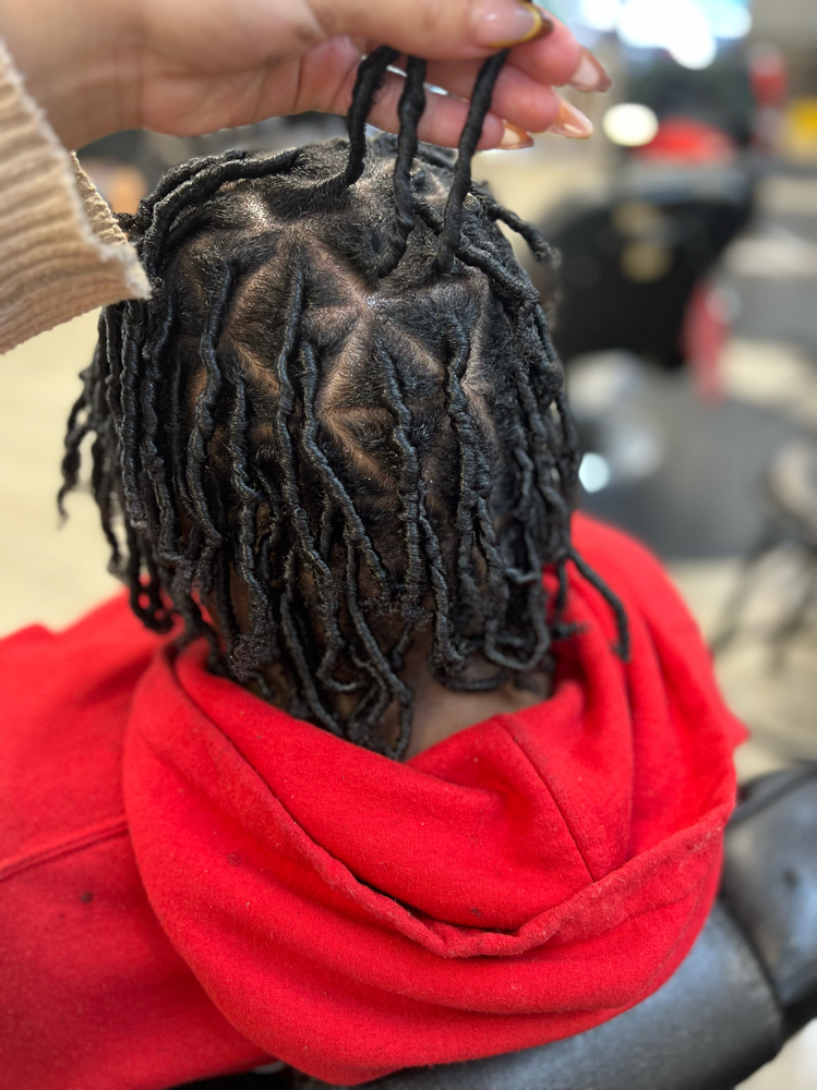 Starter Locs (coils)