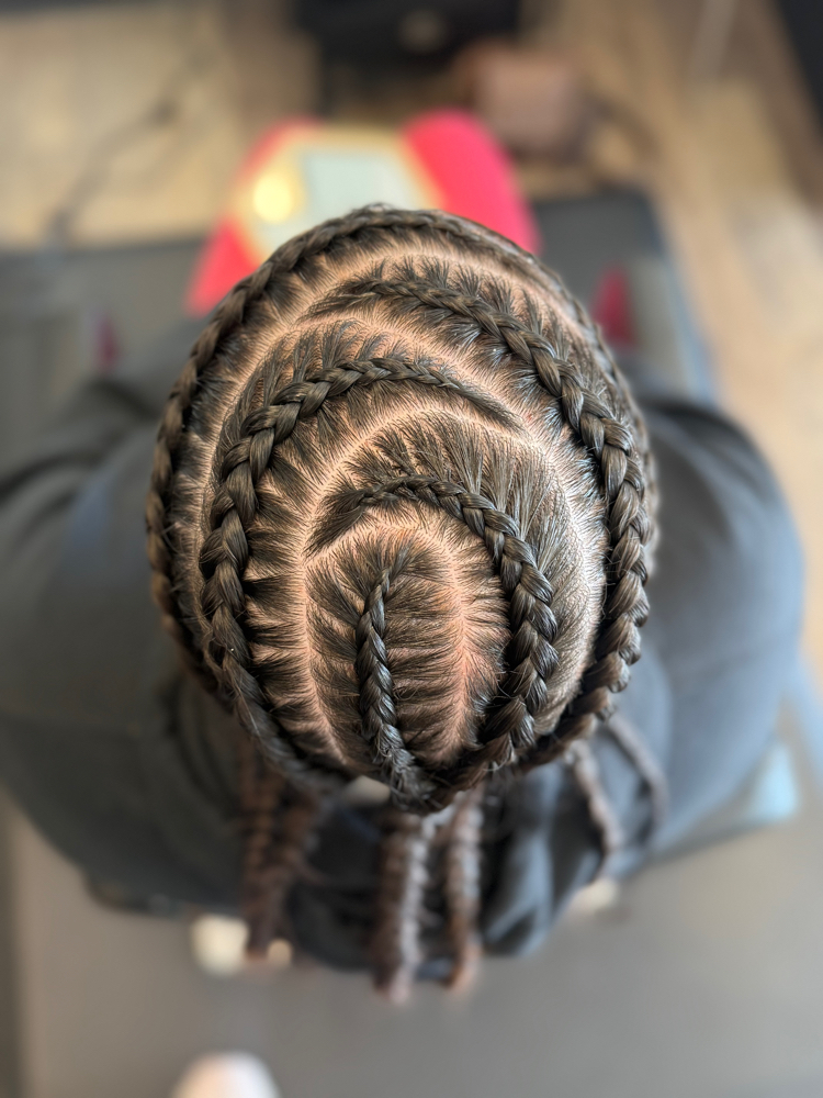 Natural Braids (full head)