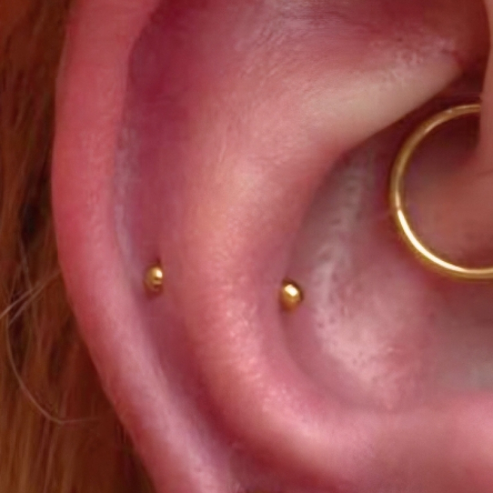 Faux Snug Piercing at Gilded Needle in BRENTWOOD, CA