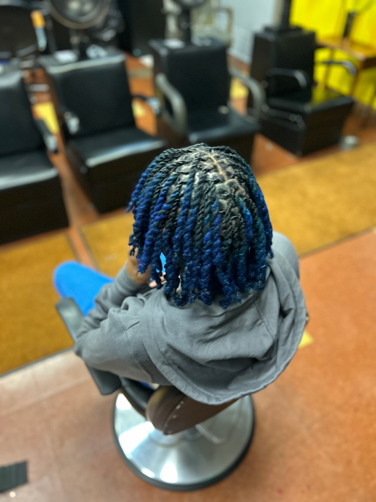 Colored Locs (ends/few)