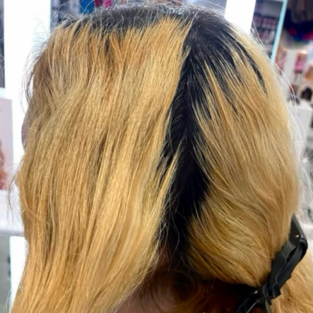 Bleach And Tone at Blank Canvas Hair by Steph in San Antonio, TX