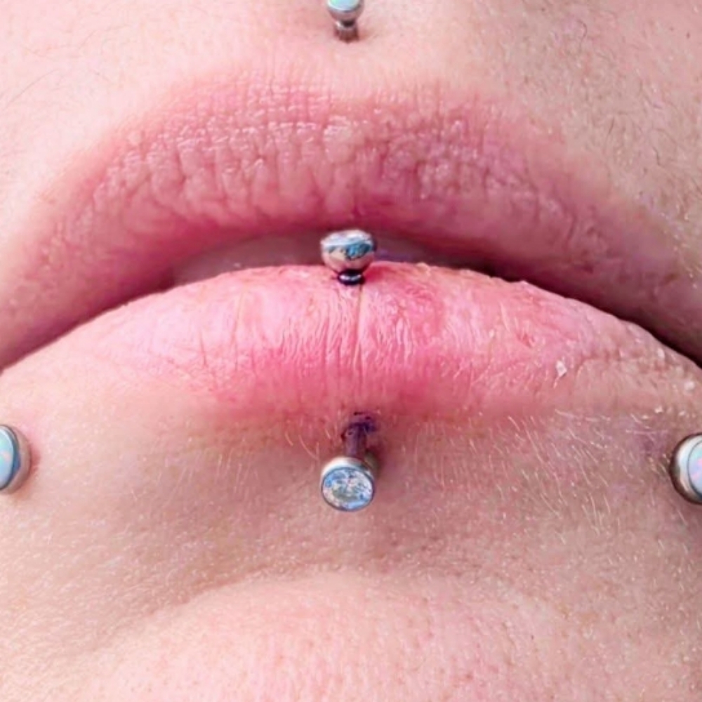 Vertical Labret at The Skin Lounge in MARQUETTE, MI