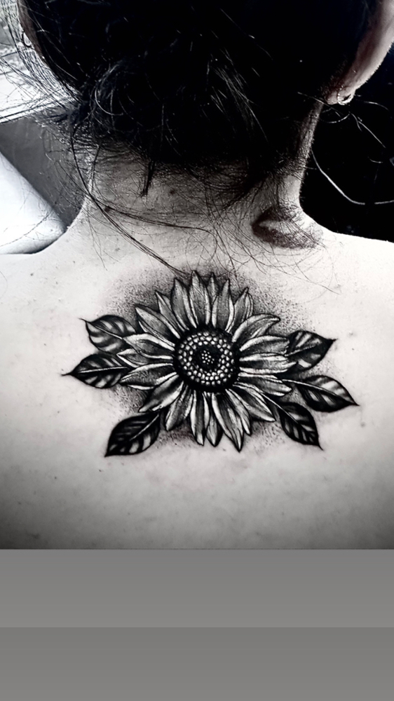 Book Cover Up