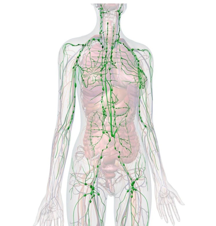 Lympatic Massage