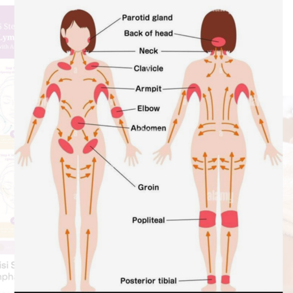 Mid Body Lymphatic Massage at Bliss Med Spa in Riverside, IL