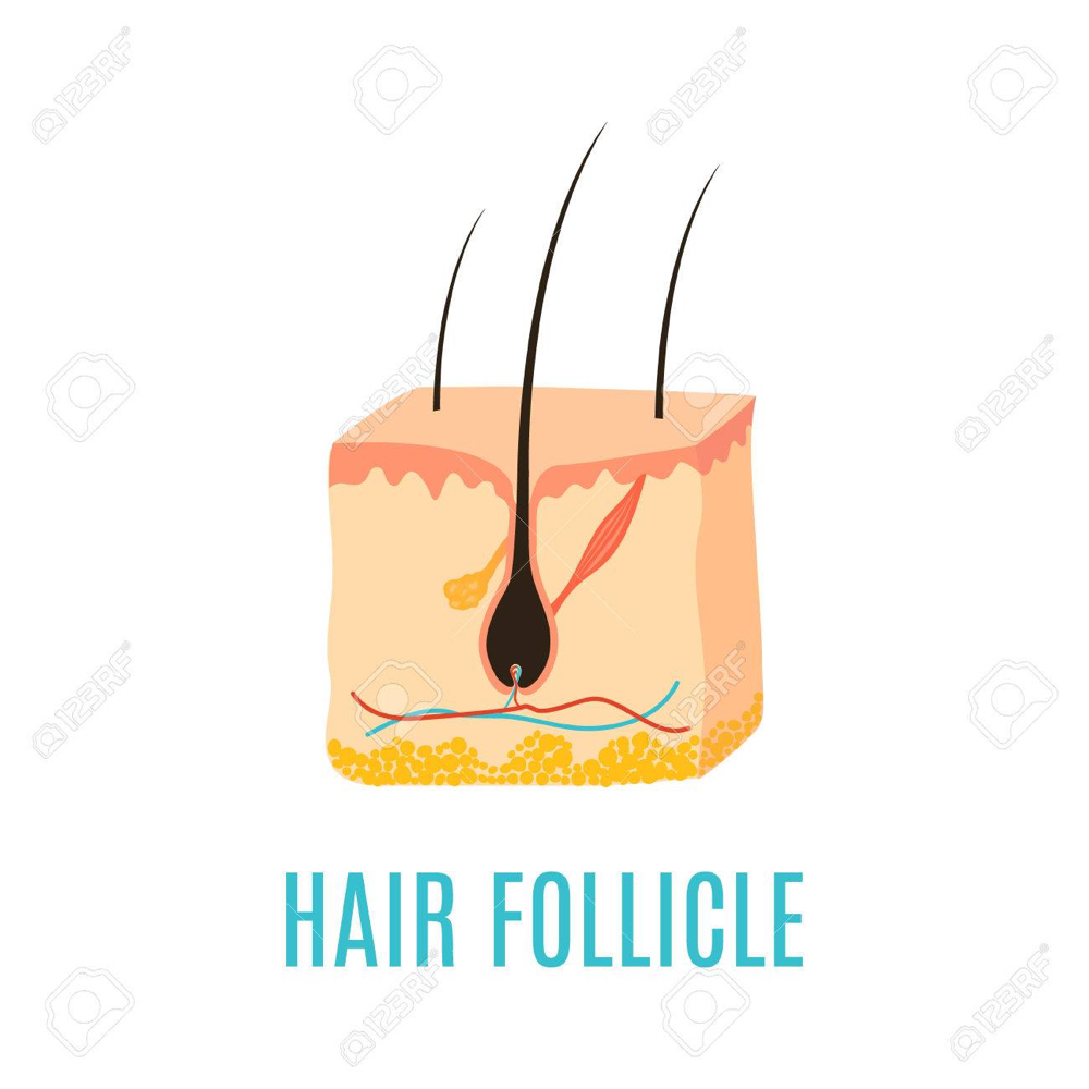 Scalp Disorder Consultation