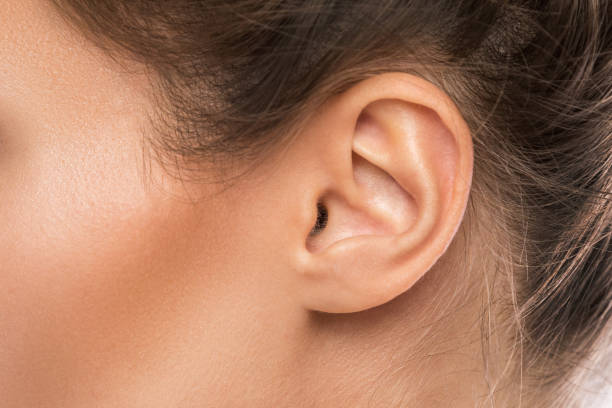 Ears at LJ’s Aesthetics in Paris, ME