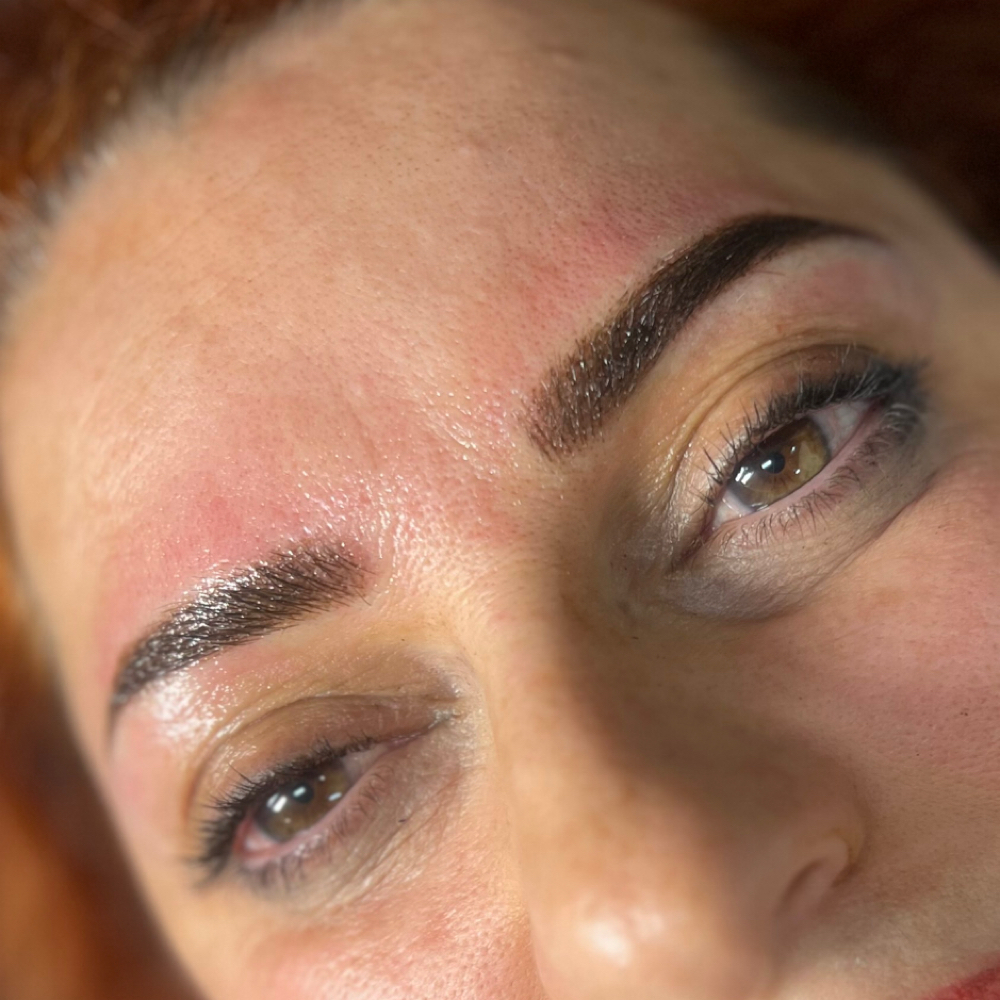 Annual Retouch (microshading/combo) at Nina Beauty&Brows Studio in North Hollywood, CA