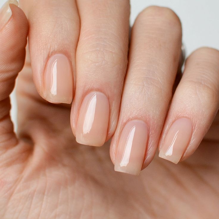 Builder Gel
